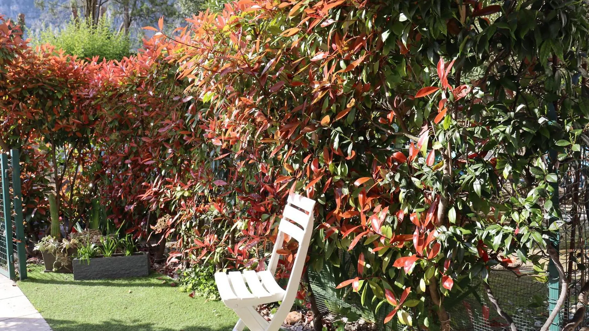 Monika Holiday 5 Lake Garden 0*, Garda (Verona)