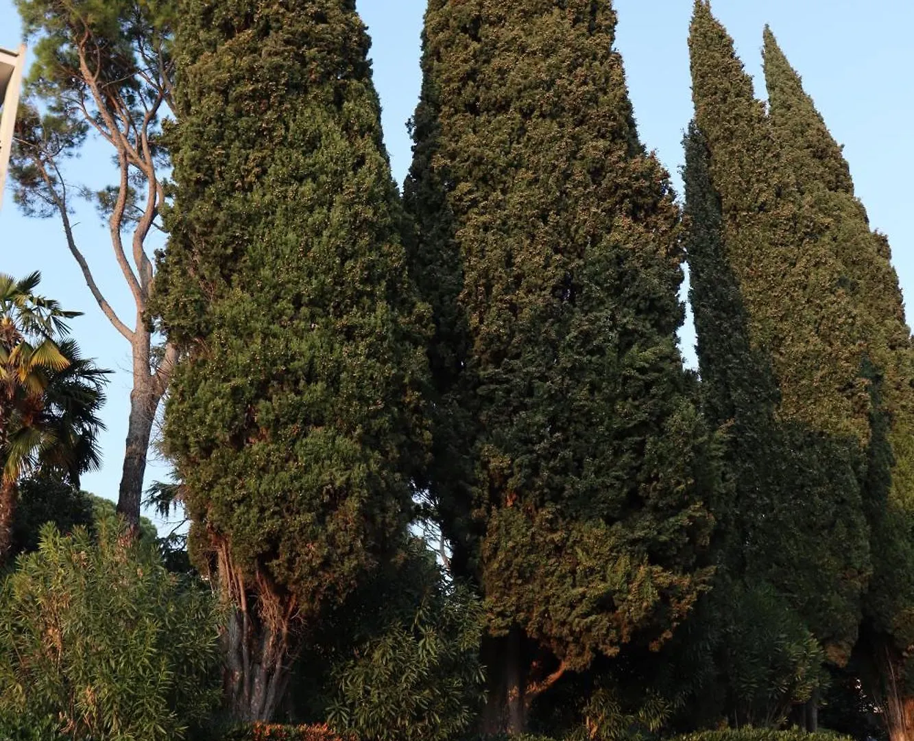 Monika Holiday 5 Lake Garden Apartment Garda (Verona)